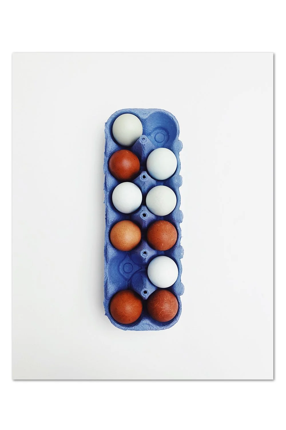 Chicken Eggs on Blue Print