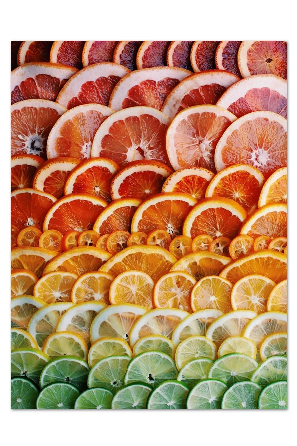 Sliced Citrus Gradient - Limited Poster Edition