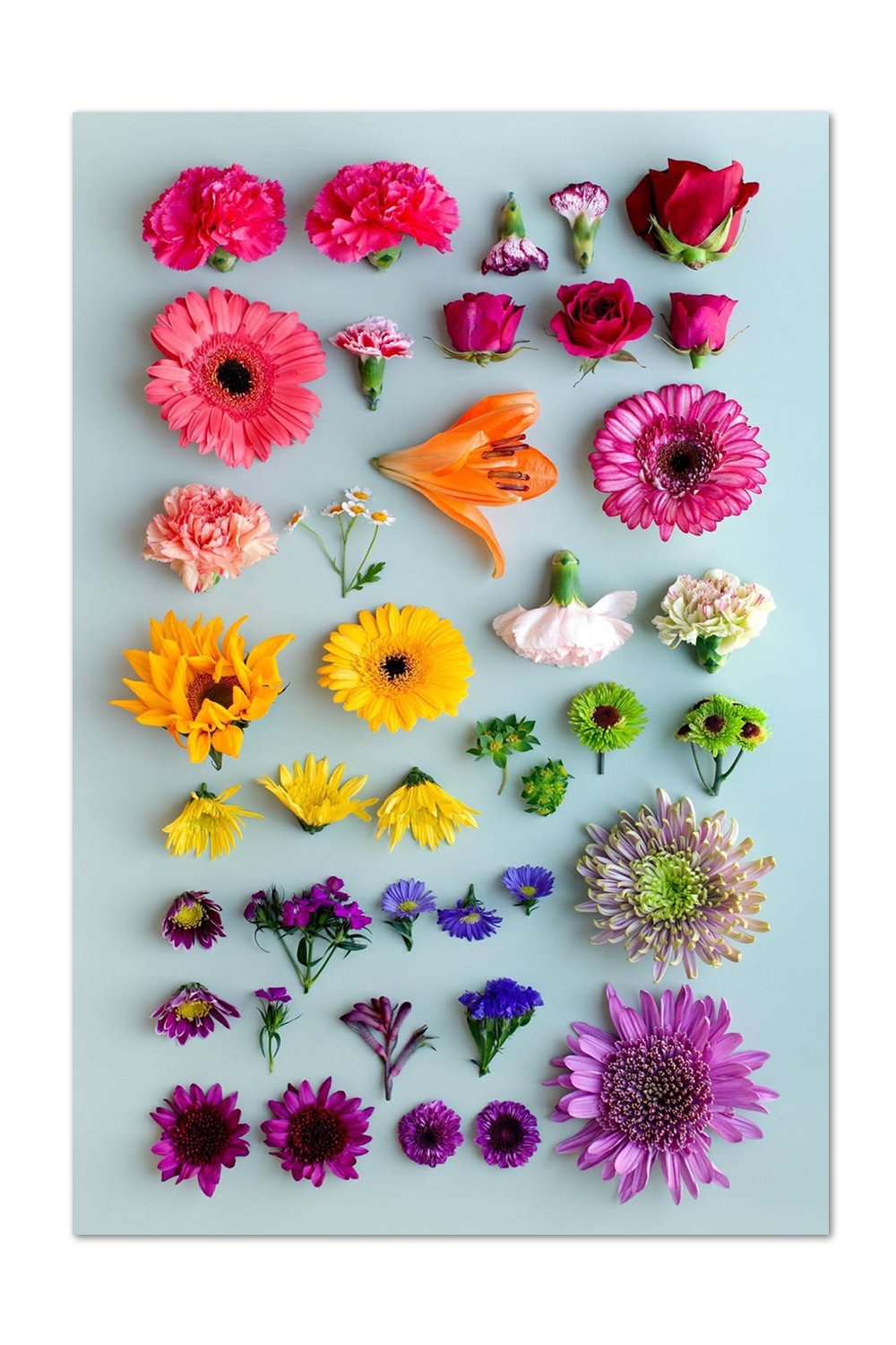 Flower Gradient v.2 Print