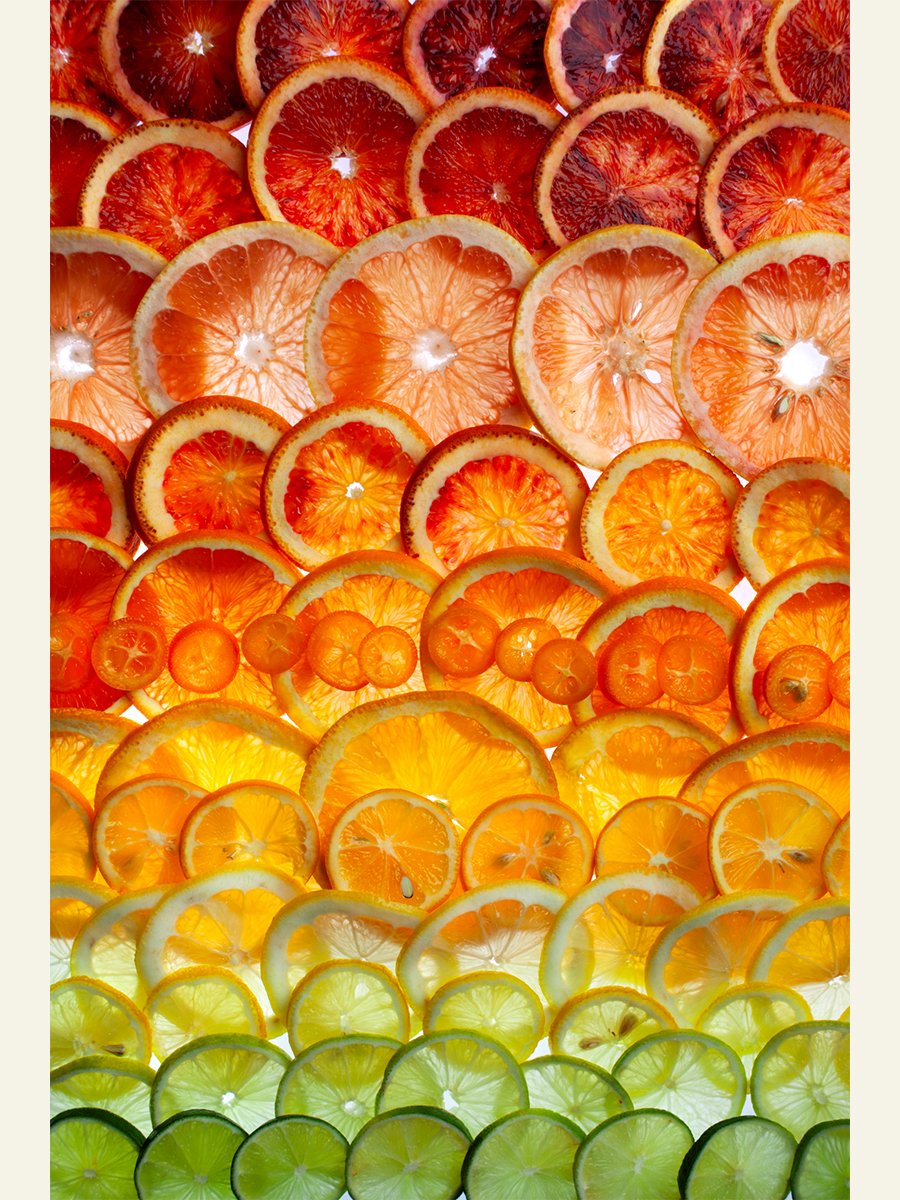 Backlit-Sliced-Citrus-Gradient-Print.jpg