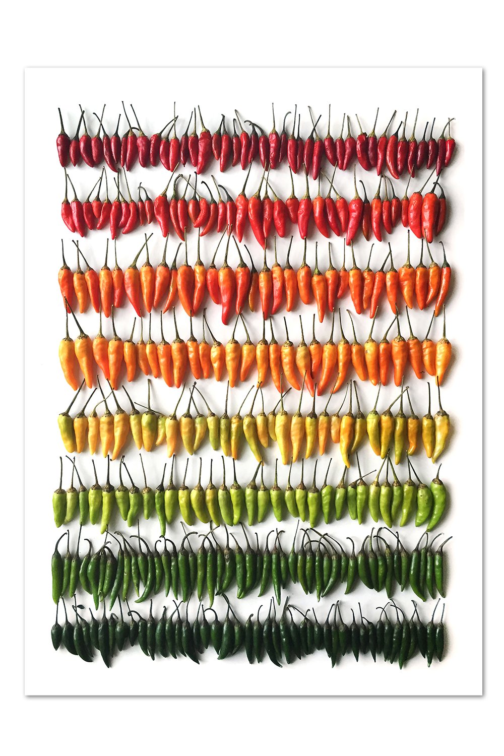 Thai Chili Gradient Print