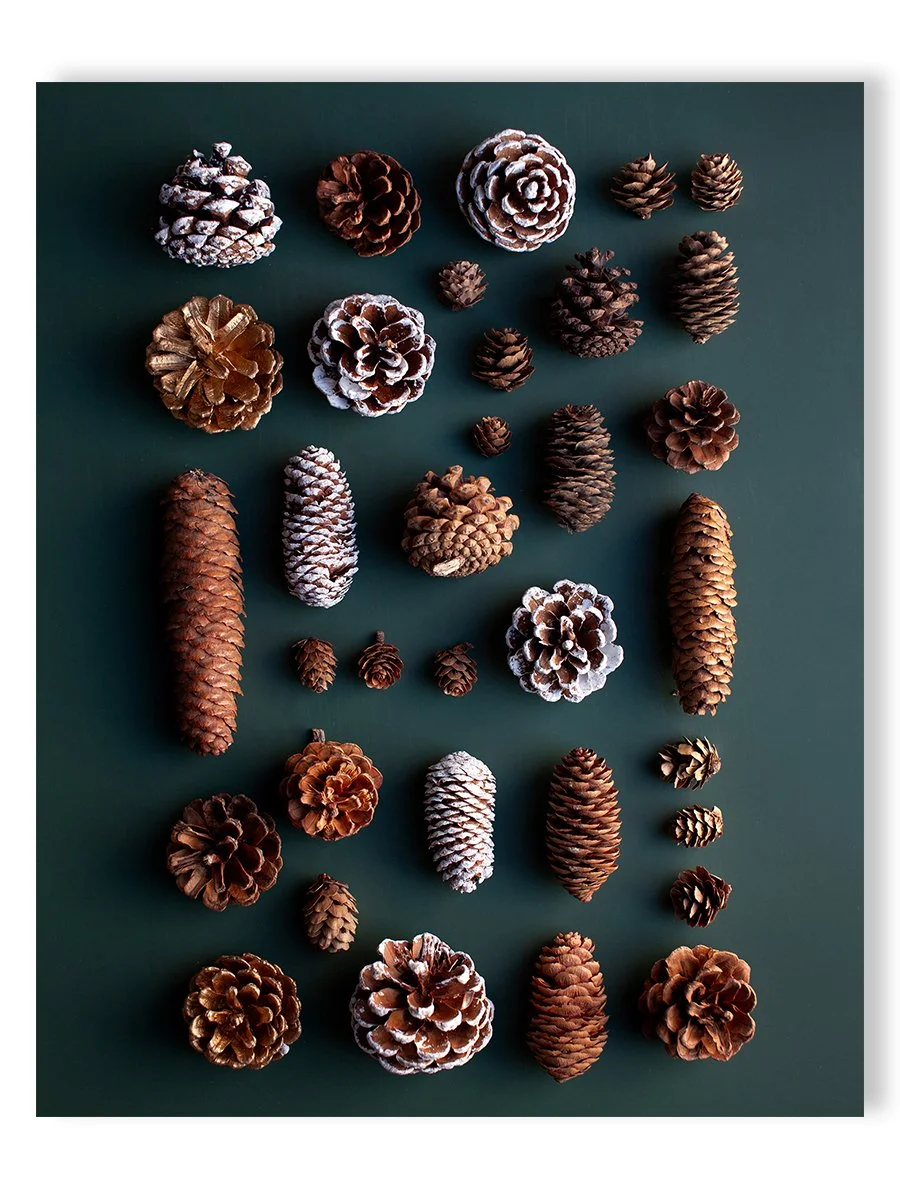 Pinecone-Pattern-card-wrightkitchen.com.jpg