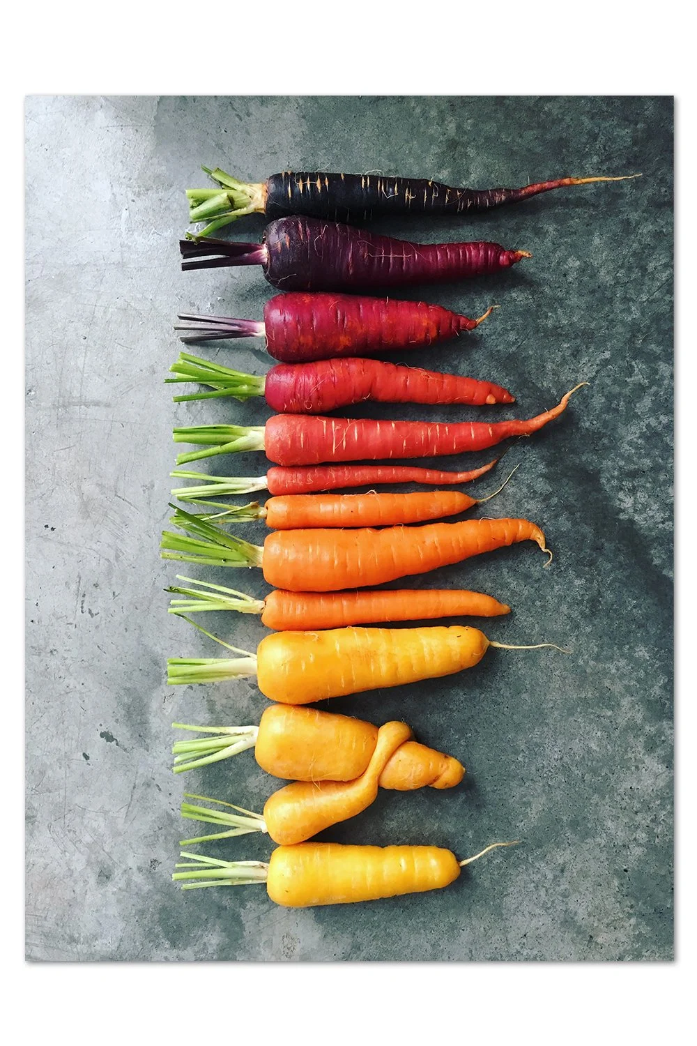 Carrot Gradient, With a Hug - Limited Poster Edition