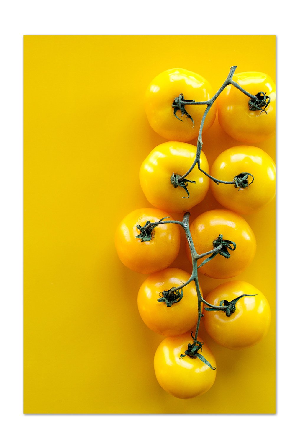 Yellow Tomato Print