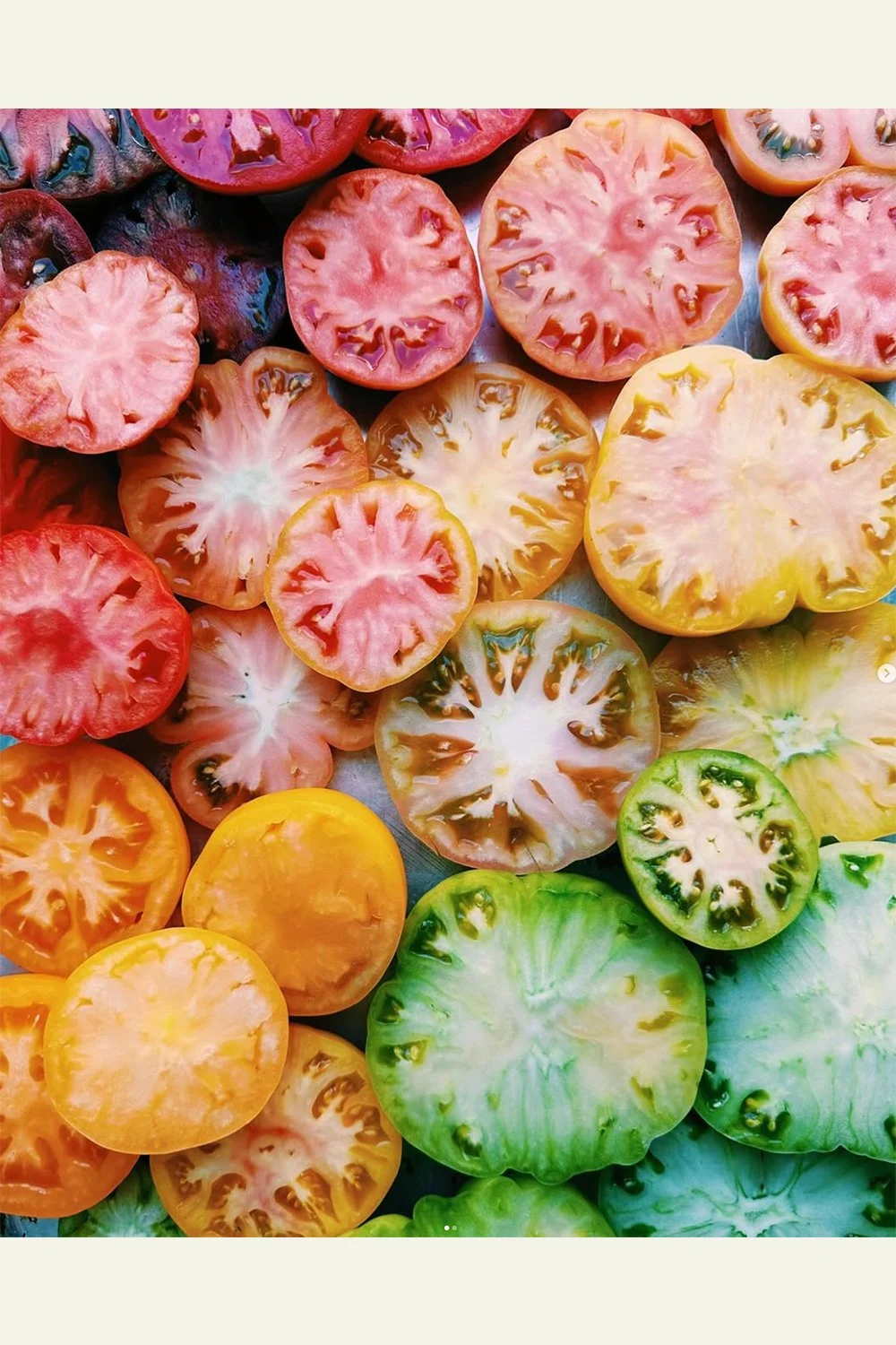 Tomato Gradient v.12 Print