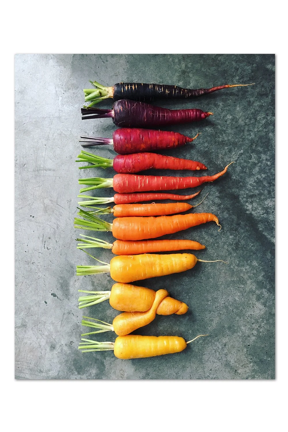 Carrot Gradient, With a Hug Print