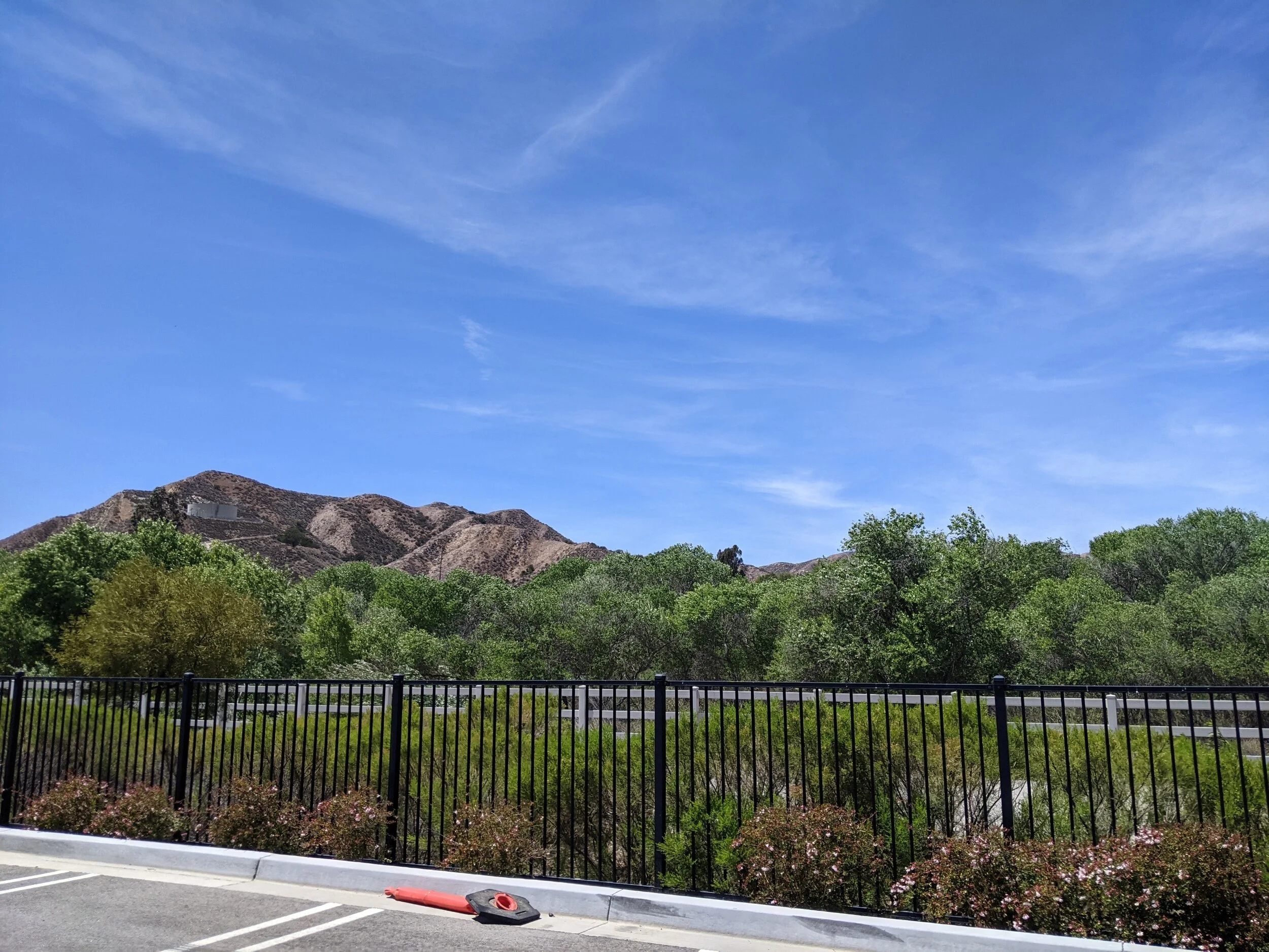 The backyard at work.