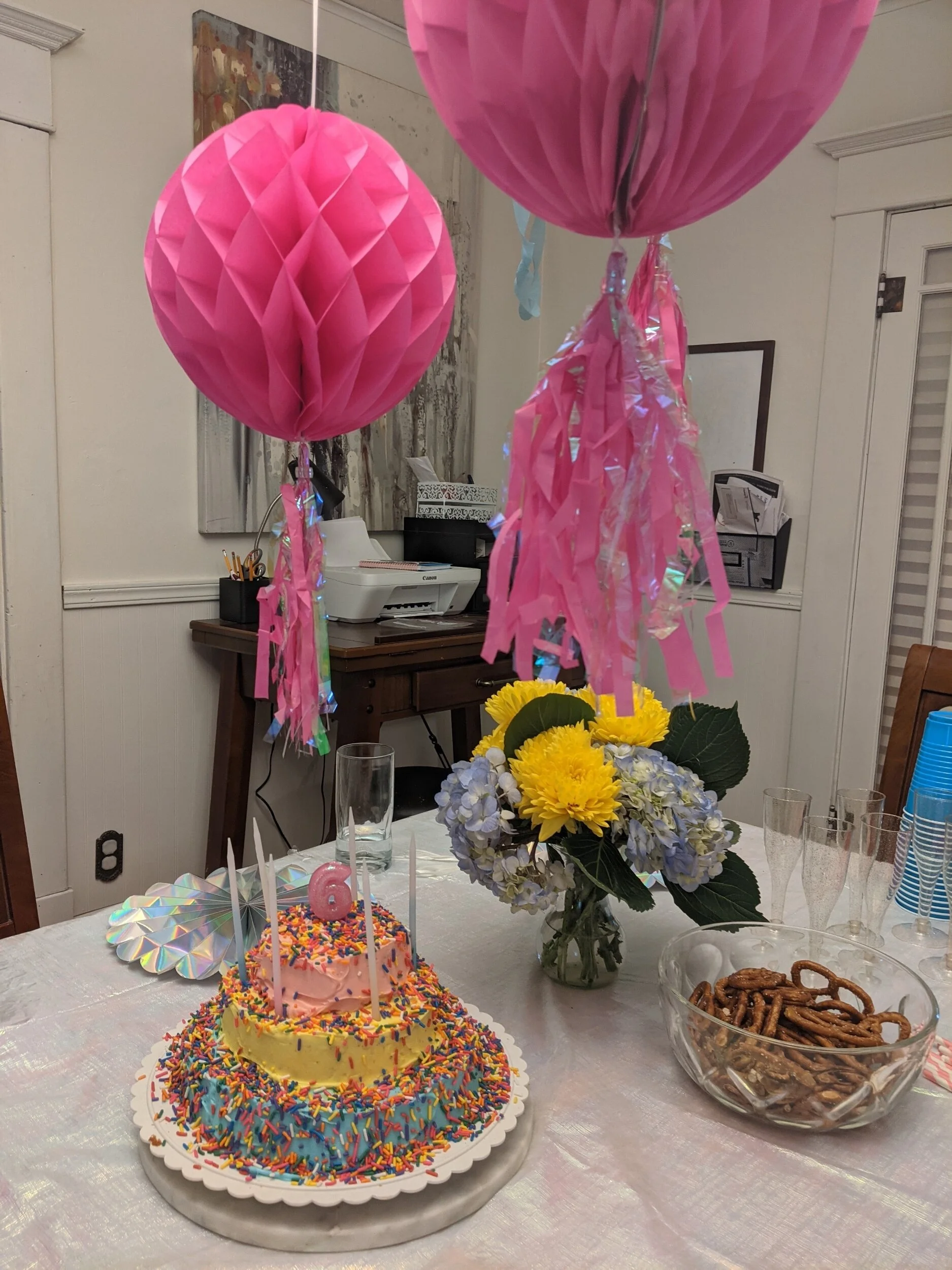 A birthday party and a kitten dibacle