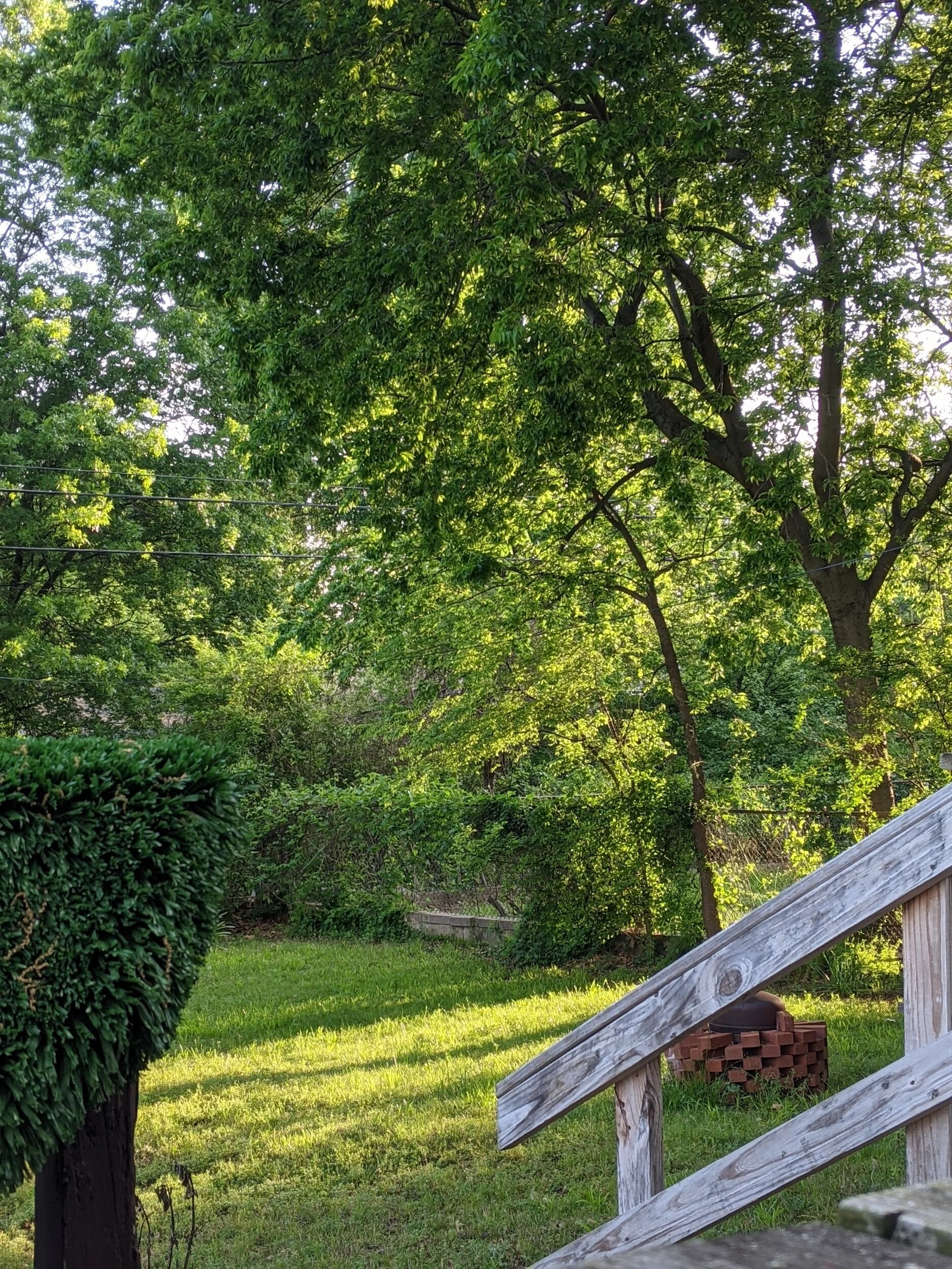 It's a perfect time to be in green country.