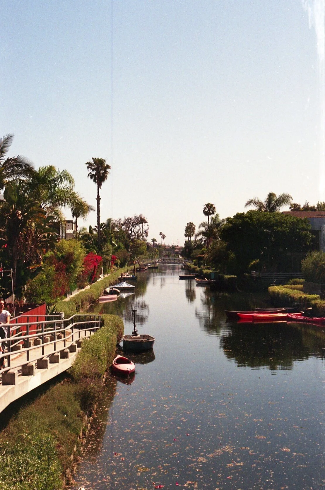 calijune21100.jpg