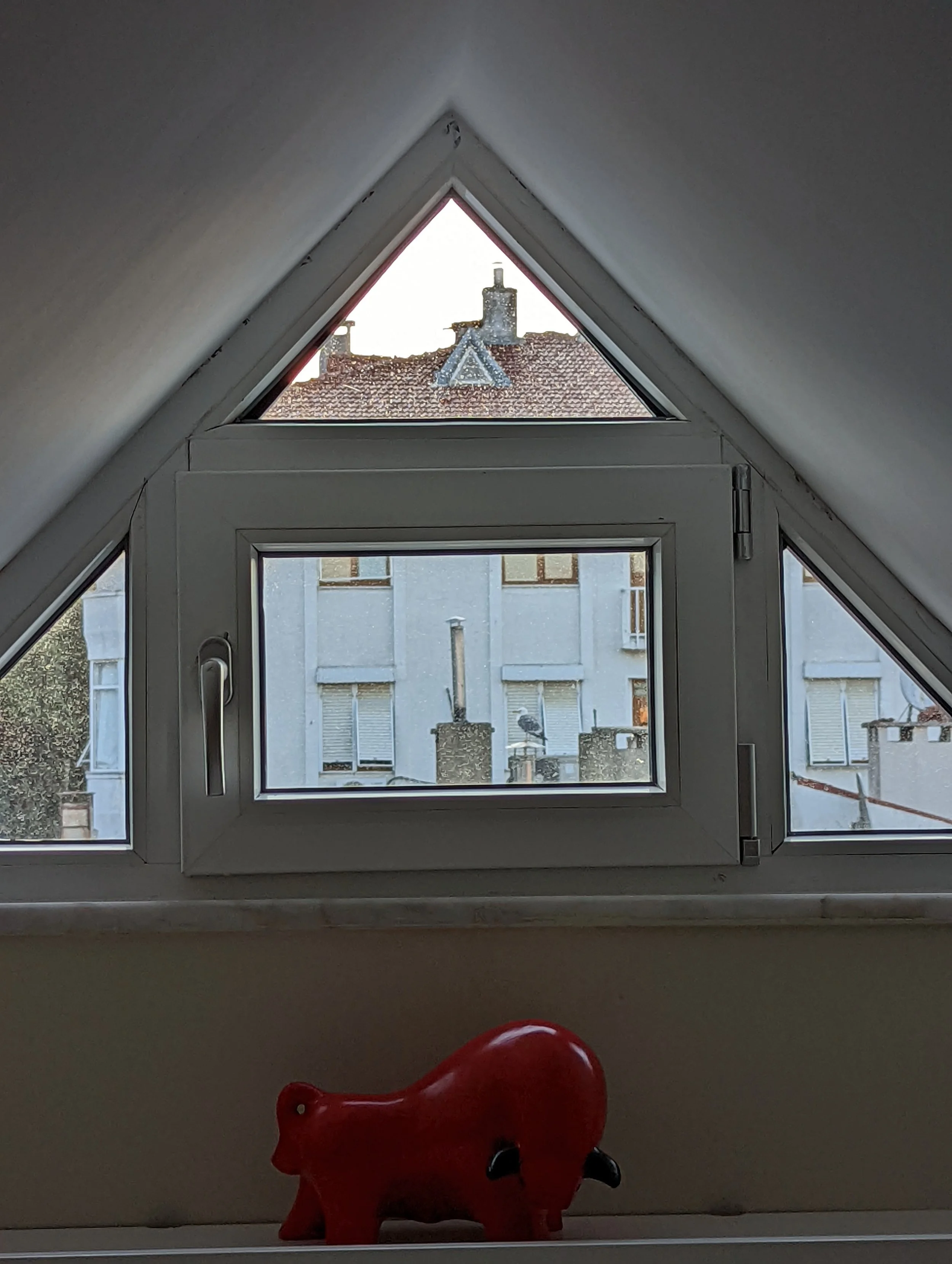 View of a seagull from a triangle window