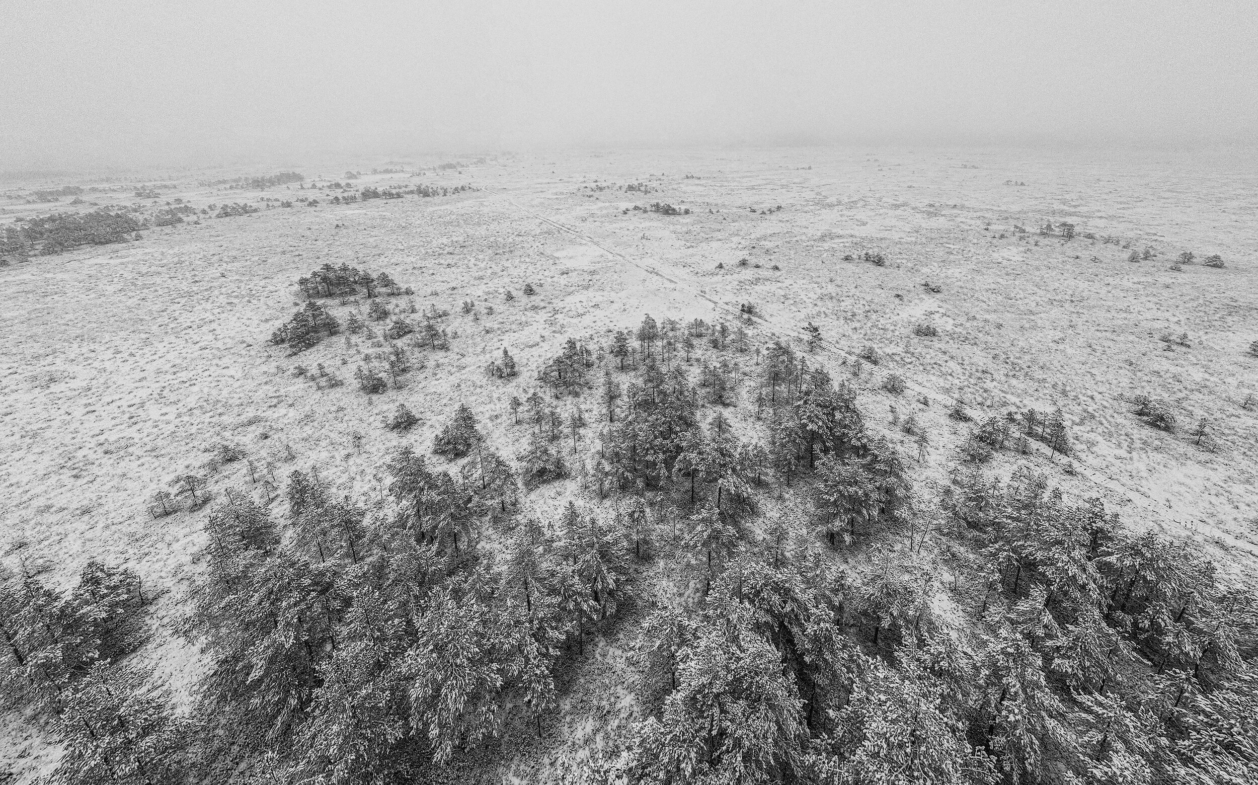 DJI_0012s.jpg