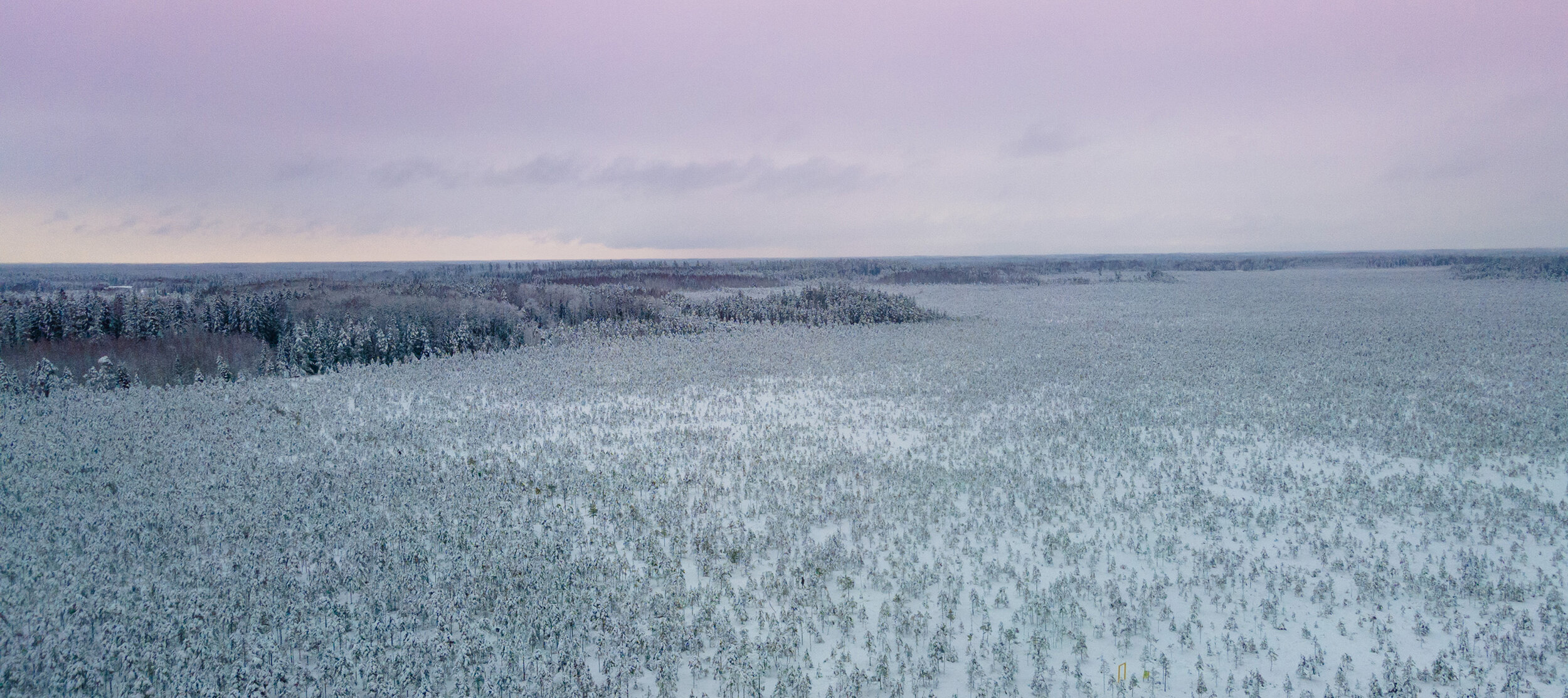 DJI_0064s.jpg