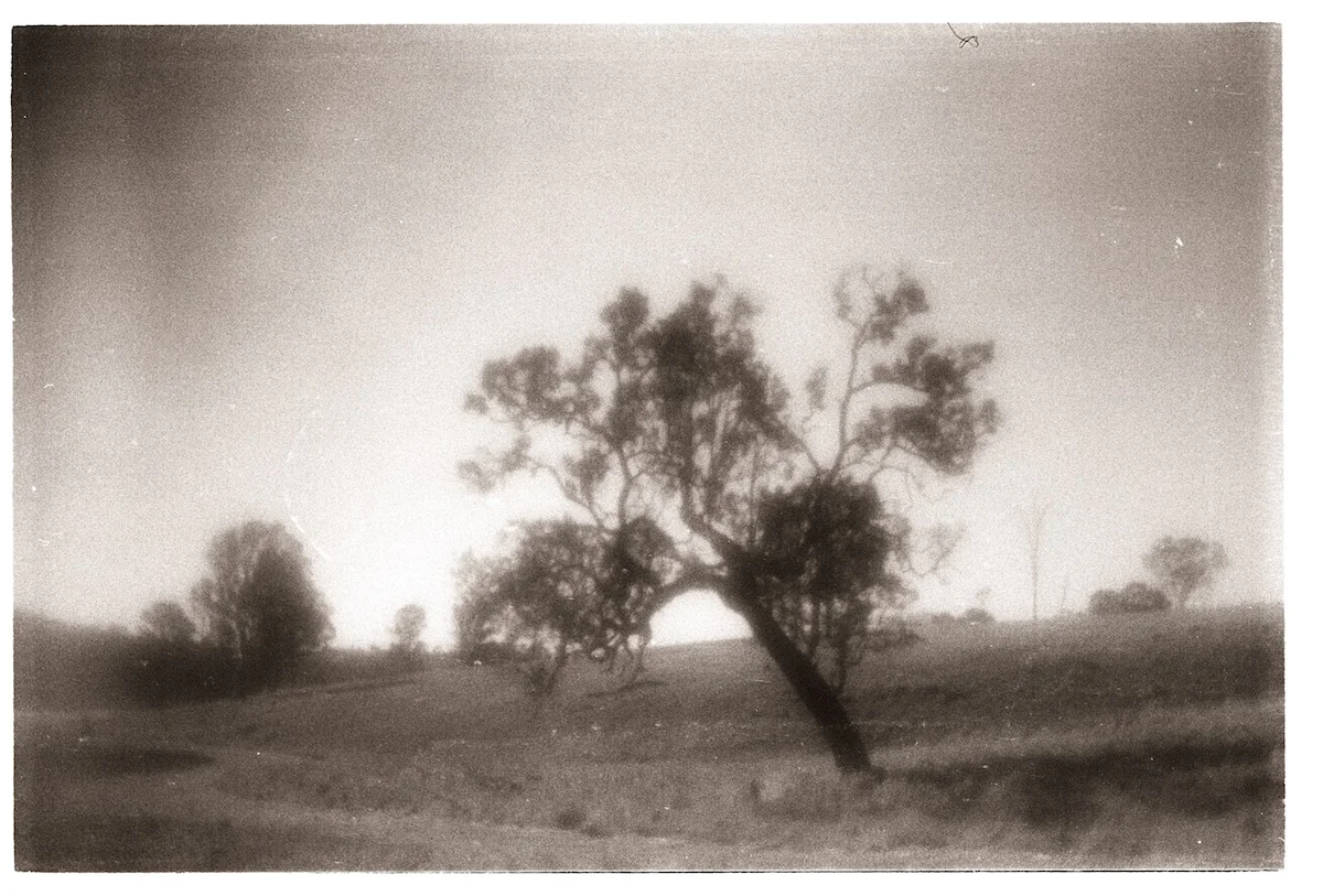 FRAME_16 copy.jpg