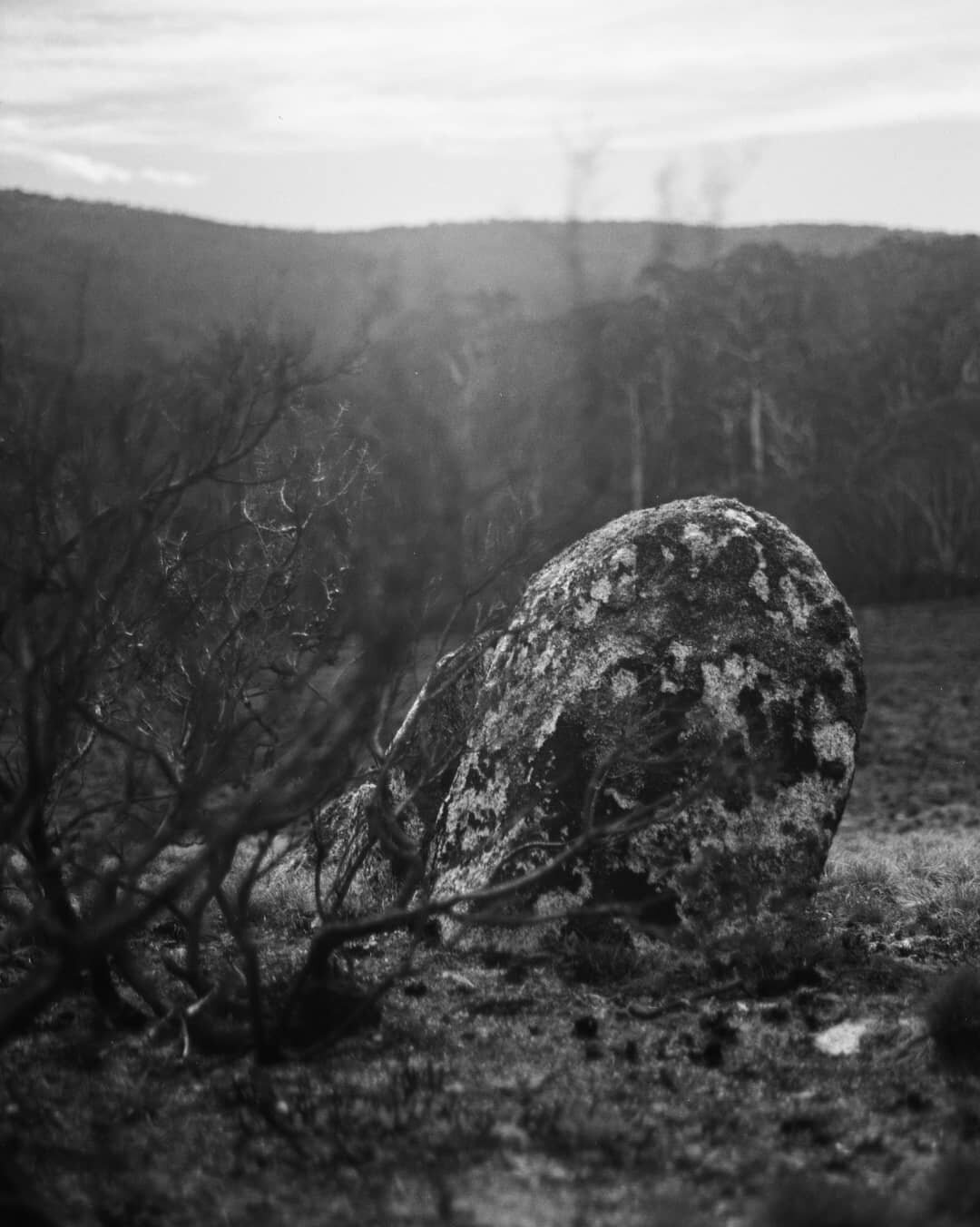 Rockscapes

Kosciuszko National Park

Ngarigo Country

#landscape #landscapephotography #film #filmphotography #75mm #120 #120film #bronica #bronicaetrs #ilford #delta #delta100 #ilforddelta100 #rock #boulder #kosciuszko #kosciuszkonationalpark

Proc