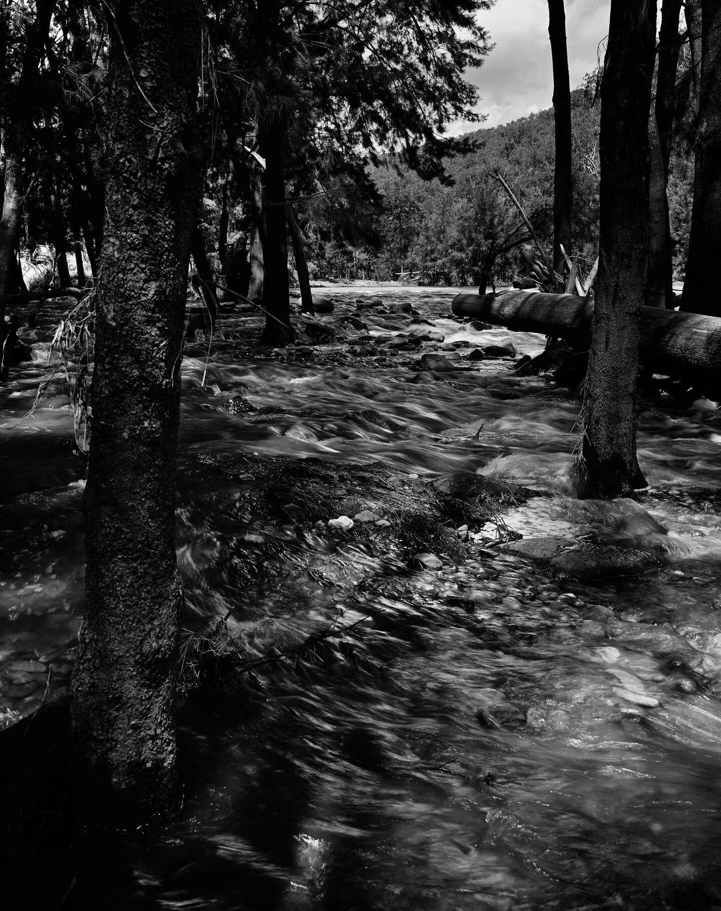 some more observations around Wiradjuri country.

#landscape #landscapephotography #documentary #documentaryphotography #fineartphotography #highcontrast #blackandwhite #blackandwhitephotography #nikon #nikonz5 #mirrorless #australia #australianlands