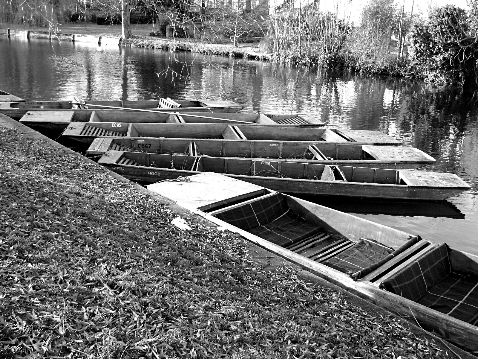 Punts on the River Cam