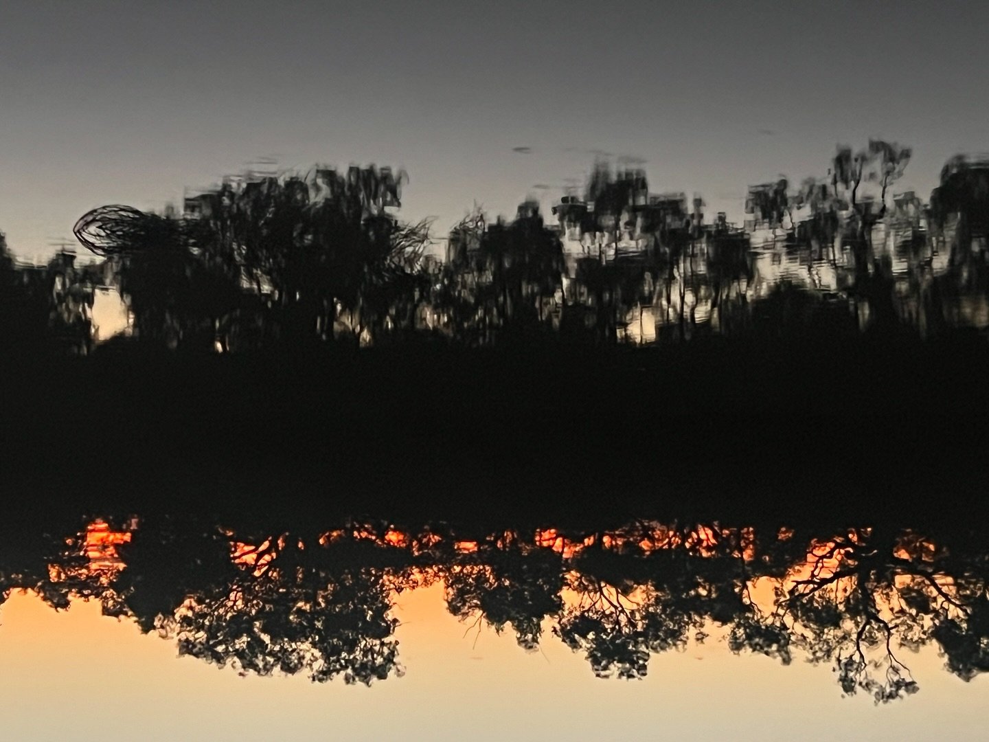 NT and then QLD
Camped on the Eyre Creek