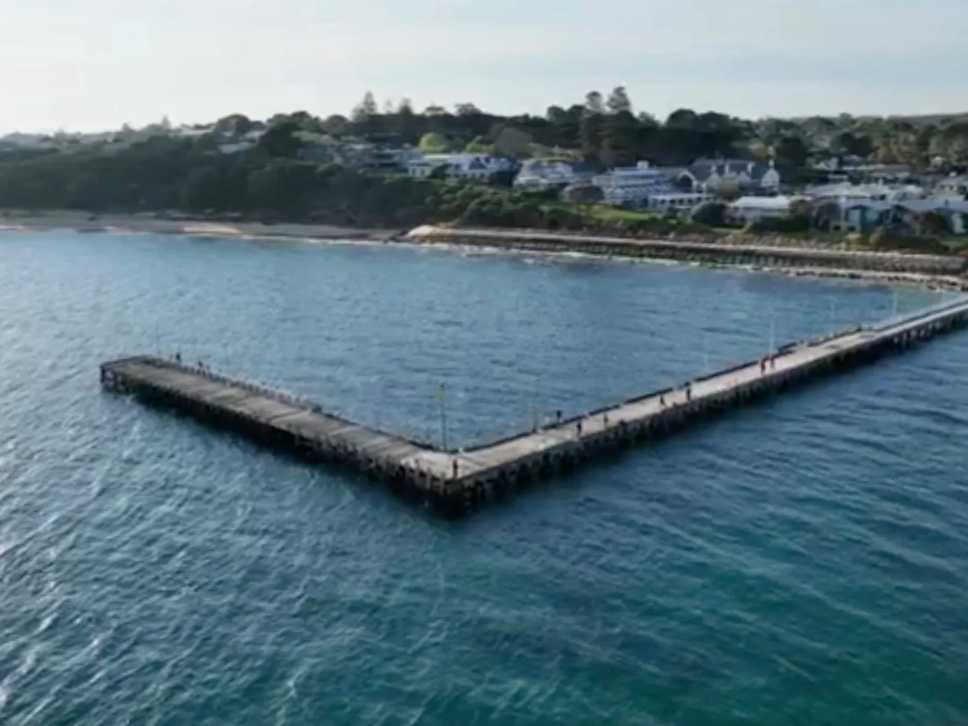 The Diver by Jonathan Leahey