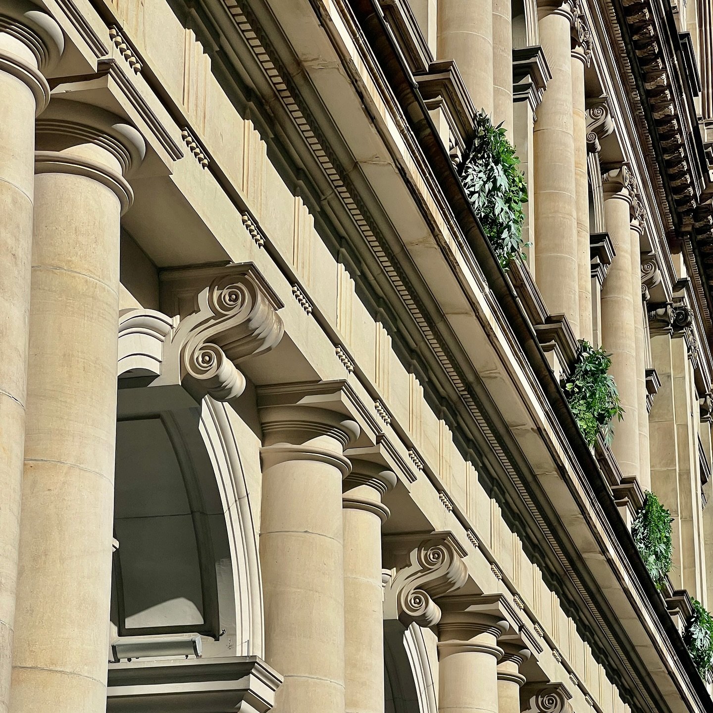 What a town 

What a life

What a wife

What a great banana fritter