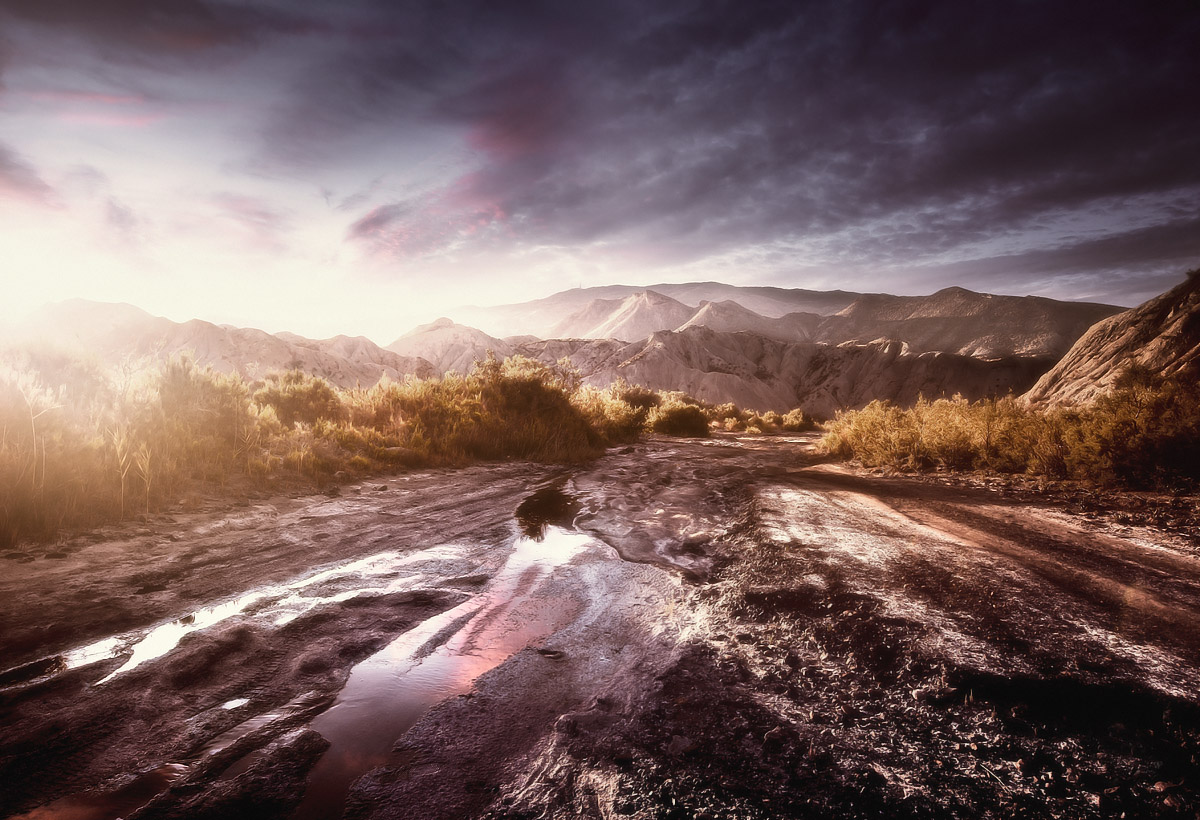 PORTFOLIO WORK