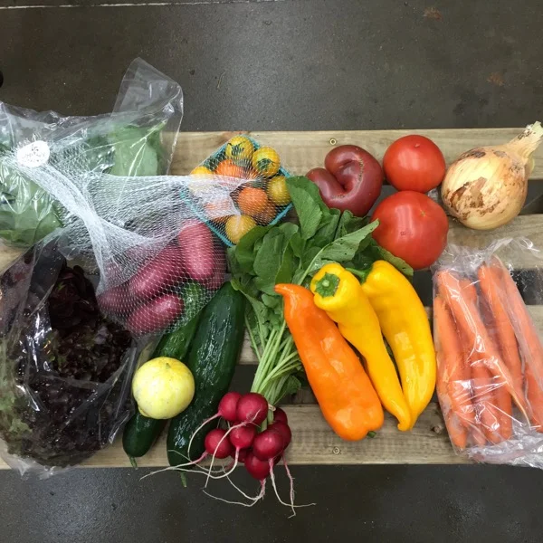 iphone-20150811132300-0.jpg