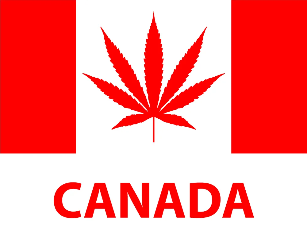 U.S. Customs and Border Protection (CBP) recently released a statement on Canada’s legalization of marijuana warning that “working in or facilitating the proliferation of the legal marijuana industry in the U.S. states where it is deemed legal or Canada may affect admissibility to the U.S.” Although medical and recreational marijuana may be legal in some states and Canada, the sale, possession, production and distribution of marijuana (or activities the facilitate the same) remain illegal under U.S. federal law. CBP unequivocally states that Canada’s legalization of marijuana will not change their enforcement of U.S. federal laws regarding controlled substances. CBP advises that crossing the border or arriving at a U.S. port of entry in violation of this U.S. federal controlled substance law may result in seizure, fines, and/or arrest and impact inadmissibility. CBP Officers will be responsibility for making determinations on admissibility and whether any regulatory or criminal enforcement is appropriate based on the known facts and circumstances. Generally, any arriving alien who is determined to be a drug abuser or addict, or who is convicted of, admits having committed, or admits committing, acts which constitute the essential elements of a violation of (or an attempt or conspiracy to violate) any law or regulation of a state, the U.S., or a foreign country relating to a controlled substance, is admissible to the U.S. SRW Border Lawyers will be closely monitoring the impact of the legalization of marijuana in Canada and crossing the U.S. border. We will also be providing supplemental blogs on this hot topic.