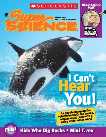 whalecover.jpg