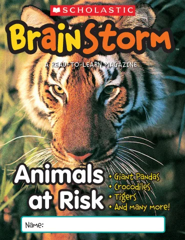 brainstorm.jpg