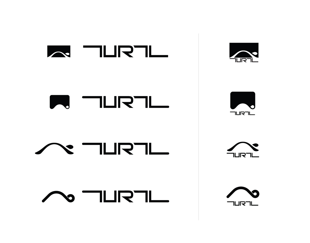 TURTL logo process3.jpg