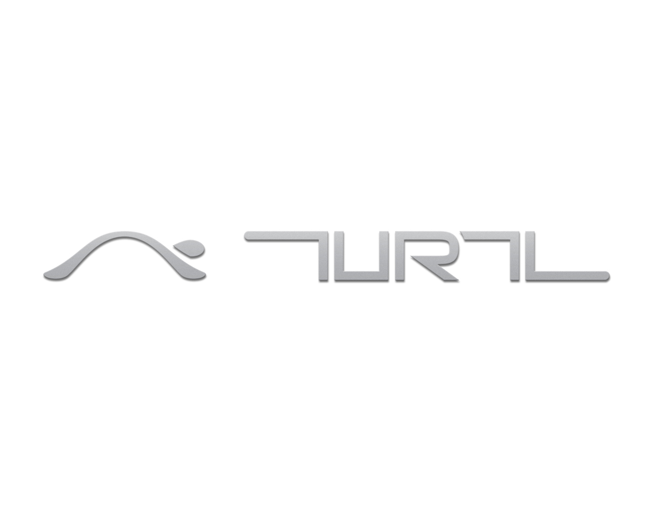 TURTL logo process4.jpg