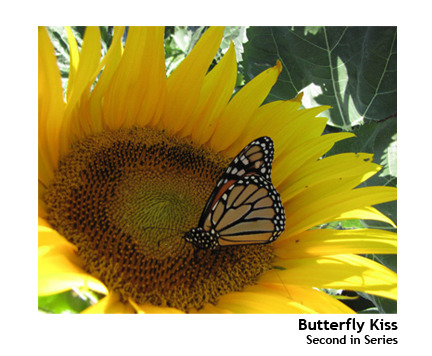 butterflykiss002list.jpg