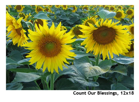 CountOurBlessings_THUMB_12x18.jpg