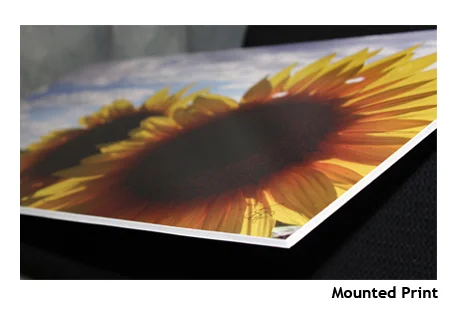 Mounted Print_THUMB.jpg