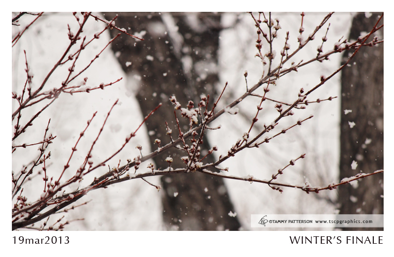 Winter'sFinale_title2013web.jpg