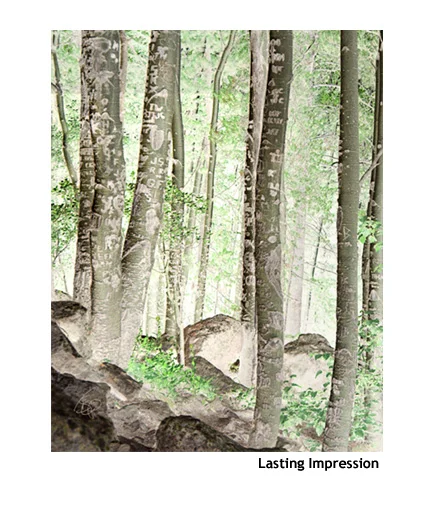 Lasting_Impression.jpg
