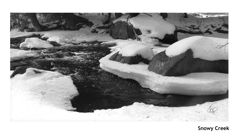 Snowy Creek_WEB.jpg