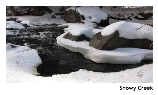 Snowy CreekCOLOR_WEB.jpg