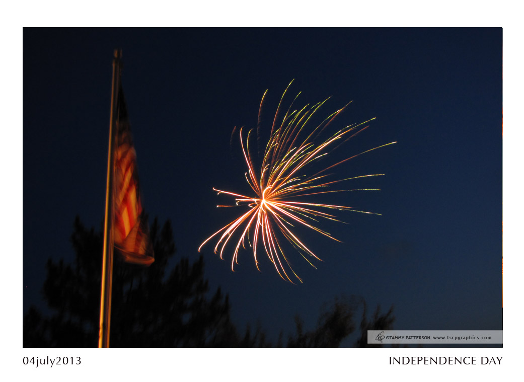 INDEPENDENCE DAY_04july2013web.jpg