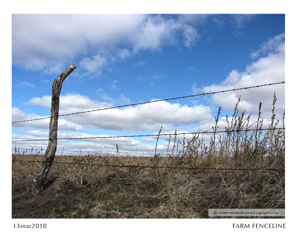 Farm Fenceline_13mar2010web.jpg