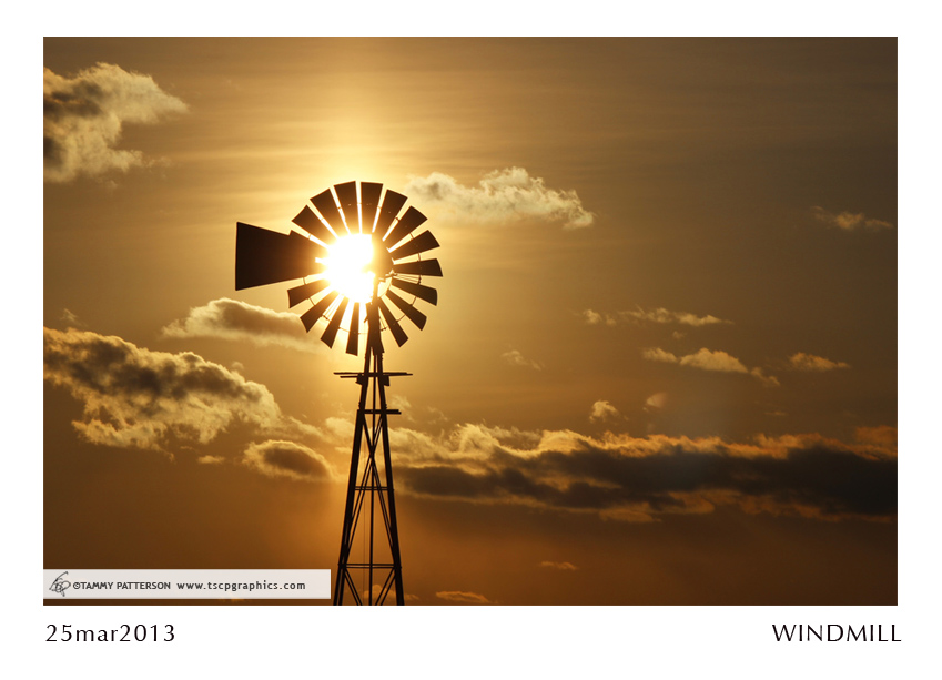 WINDMILL_25mar2013web.jpg