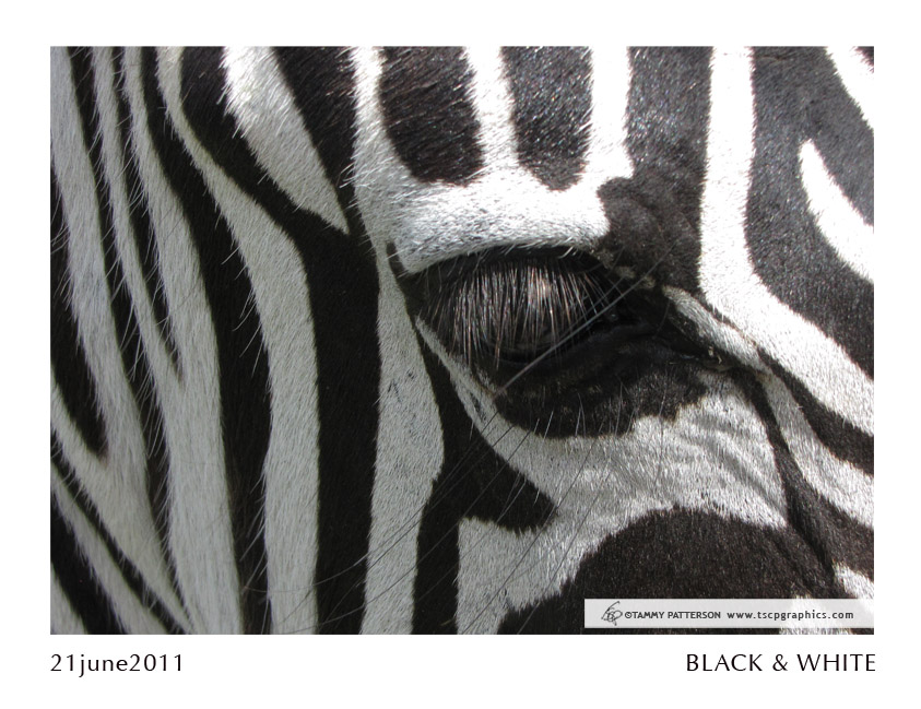 Black&White_21june2011web.jpg