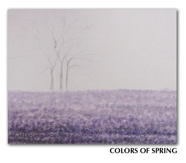 Spring STEPS002.jpg