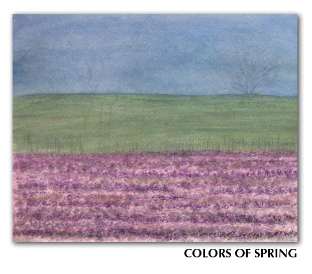 Spring STEPS006.jpg