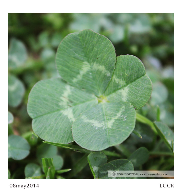 LUCK_08may2014web.jpg