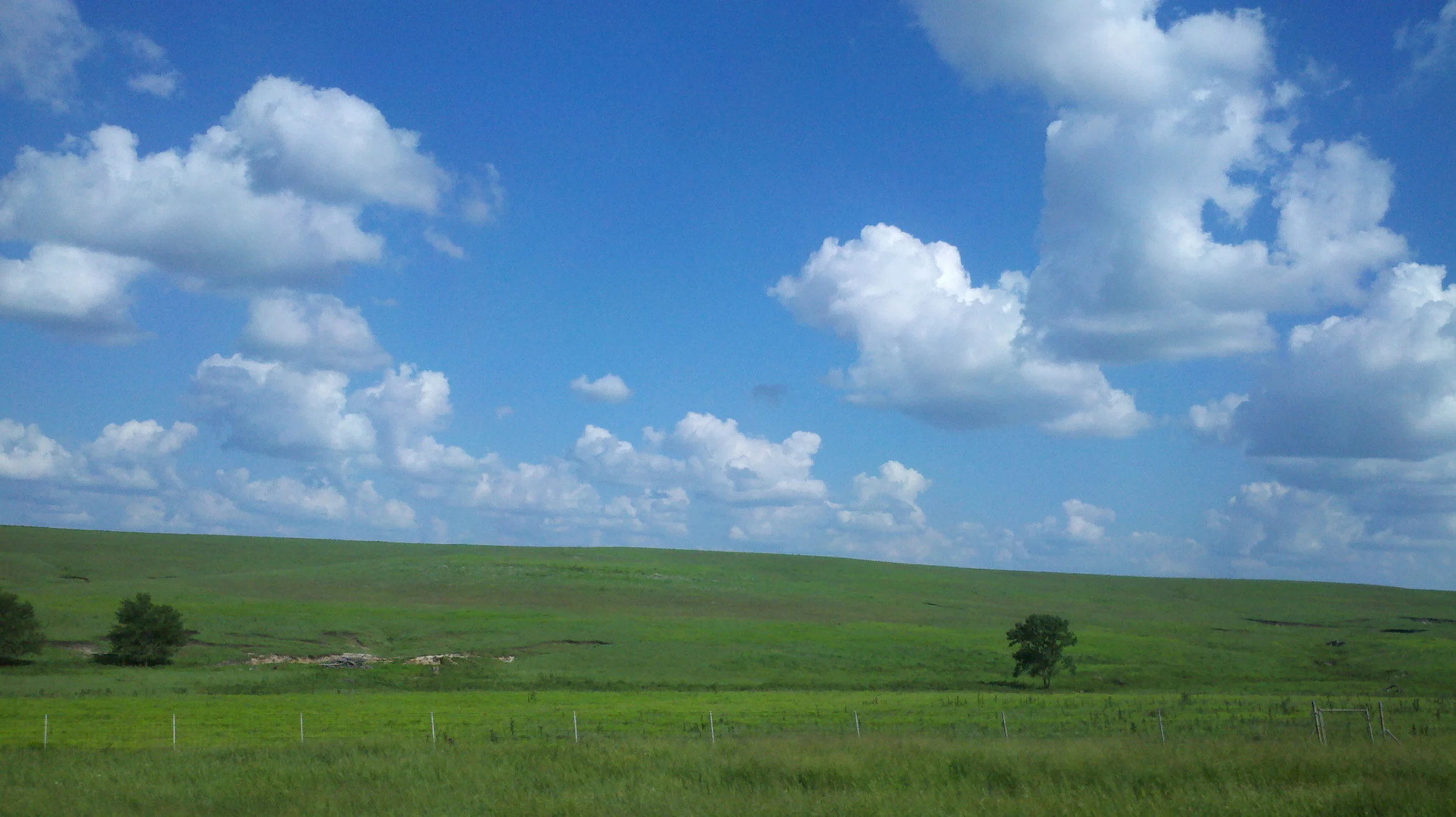 2013-08-10_org.jpg
