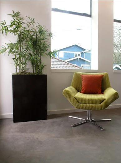fluff - upstairs bamboo.jpg