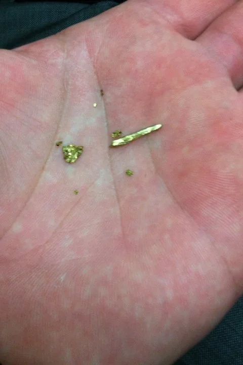 Jason Chin Gold Chunks.jpg