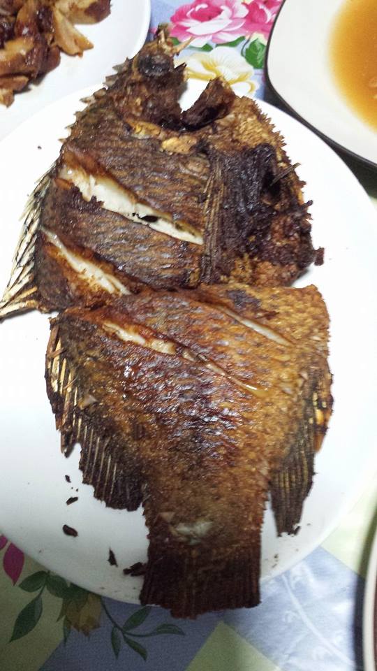 The blessed fish that delivered this amazing gift is honored at the table! Praise Jesus...
