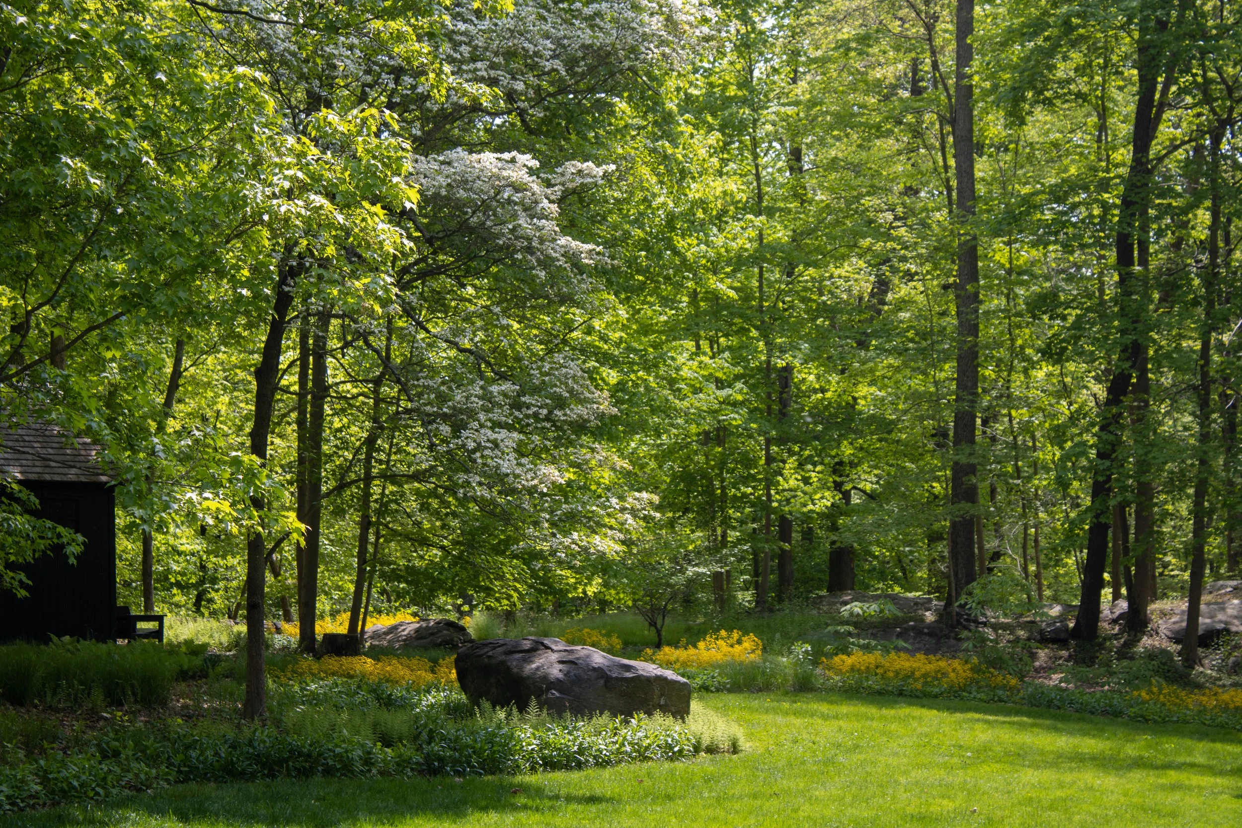 Gardenista Article
